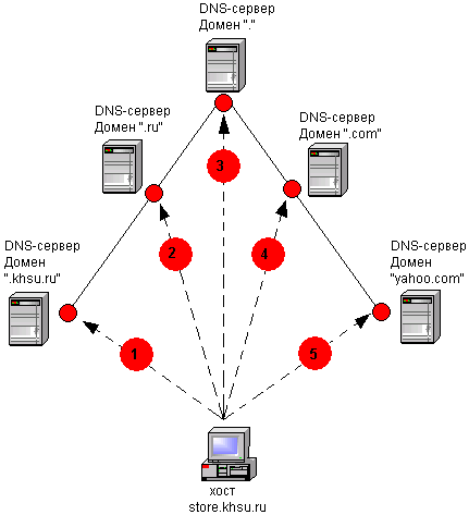 Лекционный материал: компьютерные сети