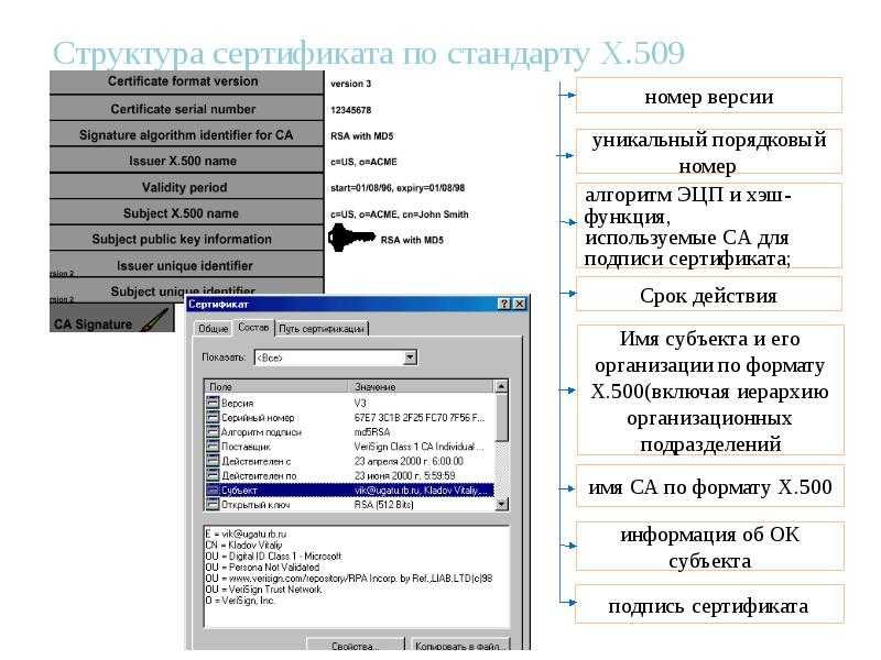 Установка certbot для получения сертификата от letsencrypt в unix/linux | linux-notes.org