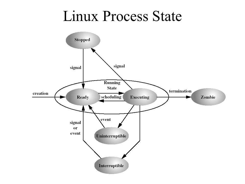 Скрытность в linux. заметаем следы | it knowledge base