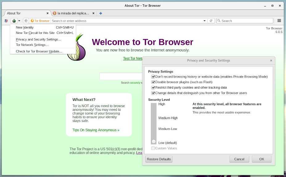 Как пользоваться tor browser