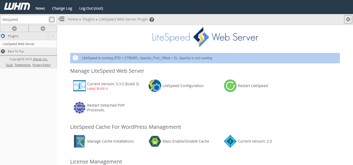 Cagefs in cpanel – how to make it work for your servers!