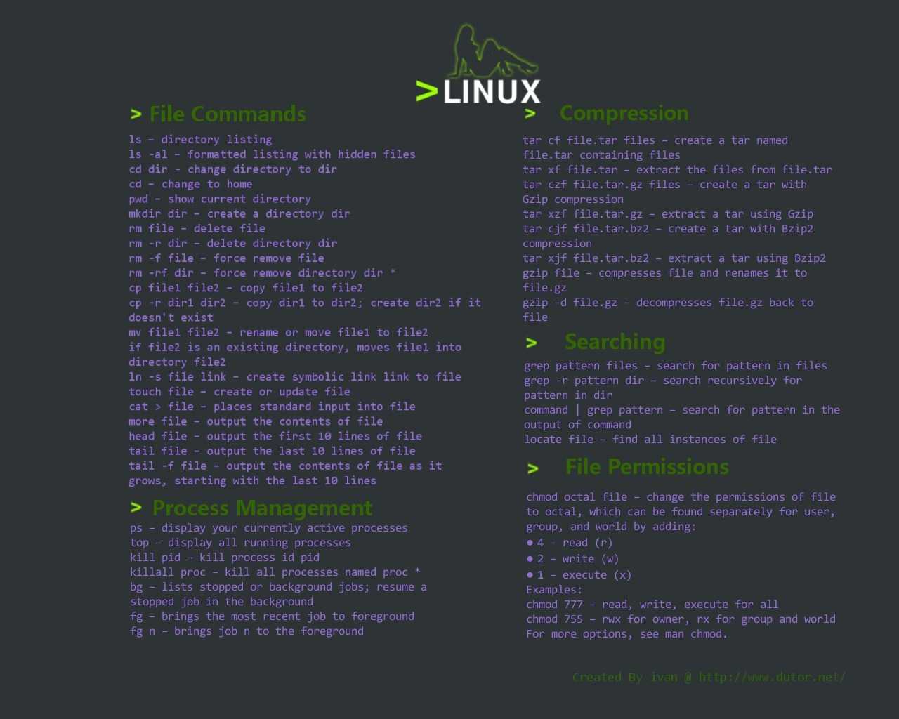 Команда grep в linux - руководство по использованию команды