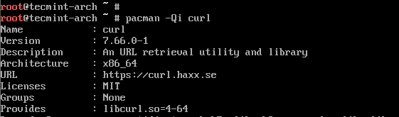 Как установить и использовать curl в ubuntu 20.04