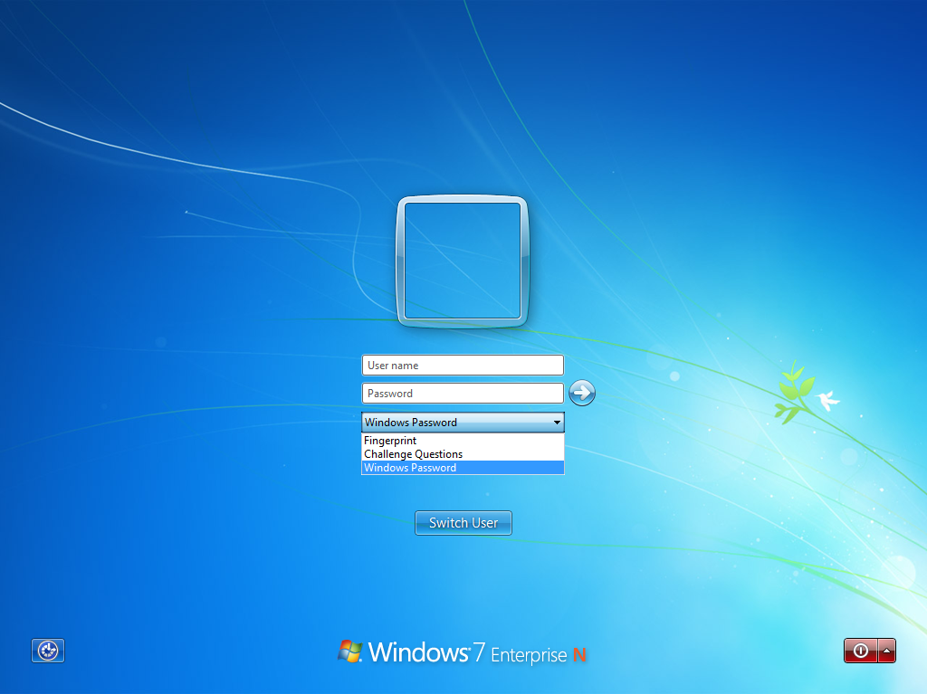 Автоматический вход пользователя в систему windows