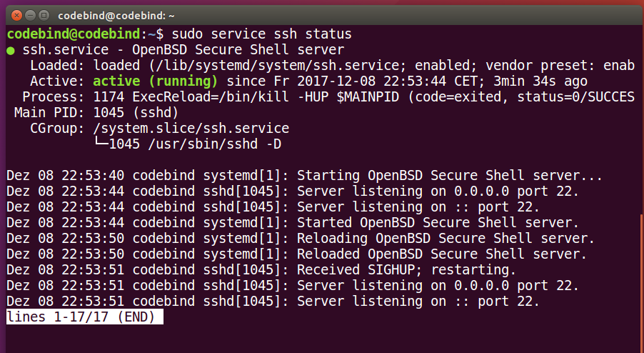 Установите ssh-сервер в ubuntu linux