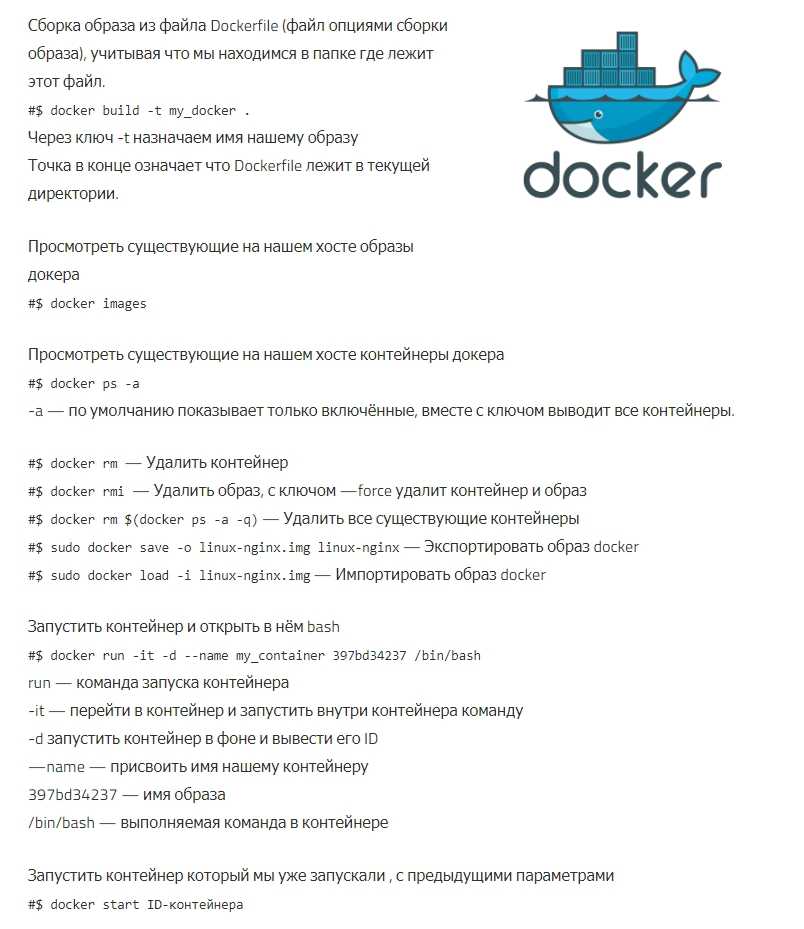 Распаковка docker, часть 2 — веб-стандарты