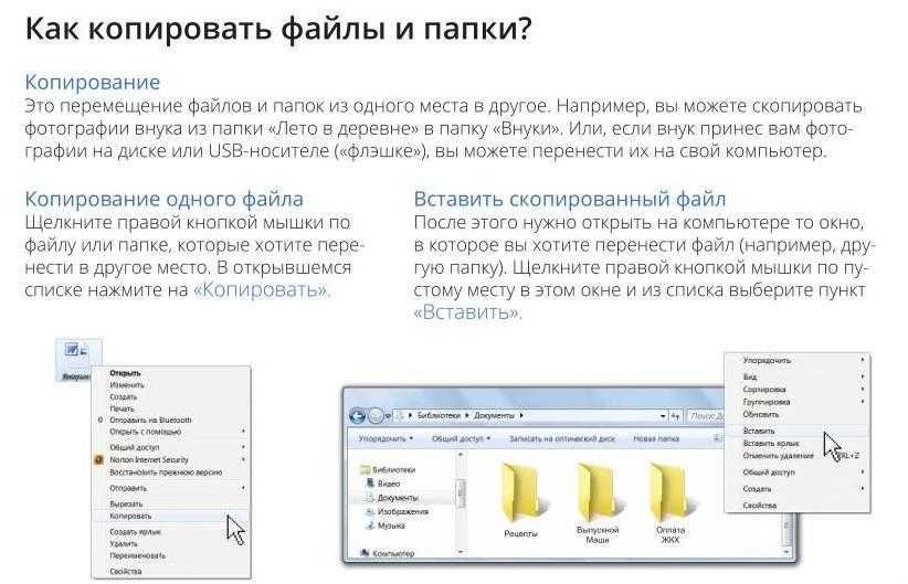 Открыть папку другое. Копирование и перемещение файлов и папок. Копируются файлы. Копировать папку. Копирование файлов и папок в Windows:.