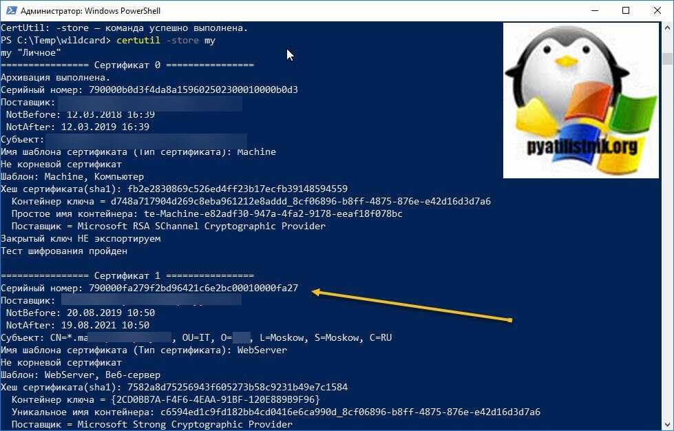 Сертификаты windows. Мастер импорта сертификатов Windows 7. Машинный сертификат Windows. Команда «certutil».. Сертификат Windows окно.