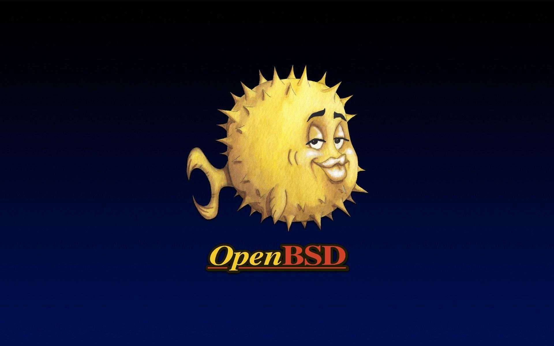Openbsd faq: работаем с дисками