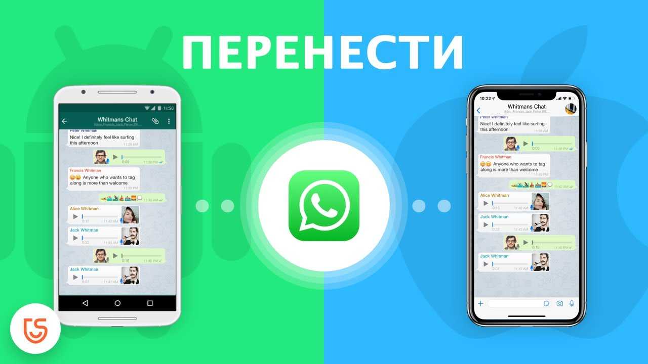 Как перенести whatsapp с андроида на андроид