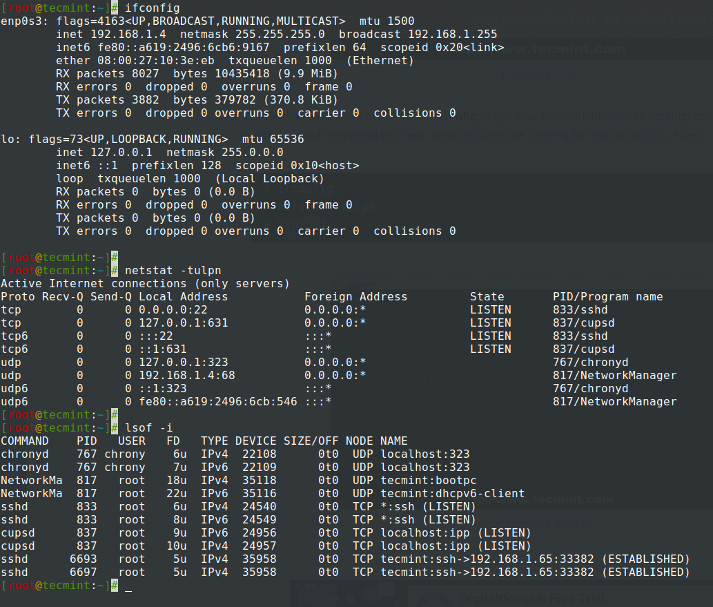 Установка и настройка dhcp сервера на centos 7. сервер раздачи ip-адресов на linux centos