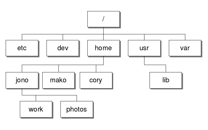 Структура каталогов в linux