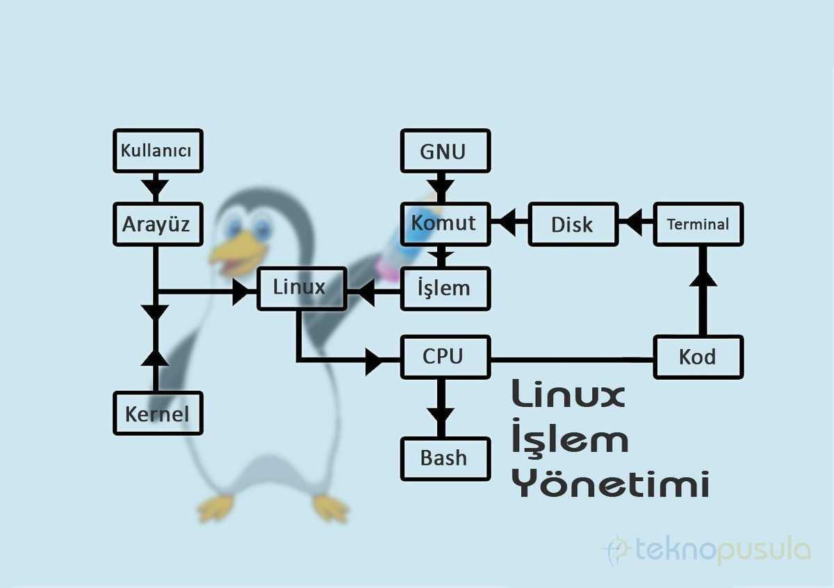 Почему для тестирования программного обеспечения необходимо изучать linux? насколько многому научился linux? -log5 - русские блоги