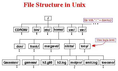 Команда ps в linux