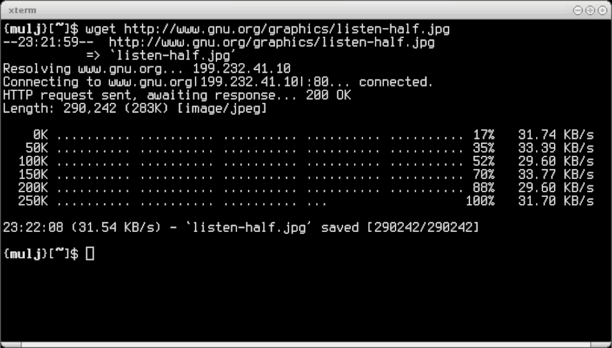 Как закачать файл (архив) на сервер linux с помощью команды wget - лунная база