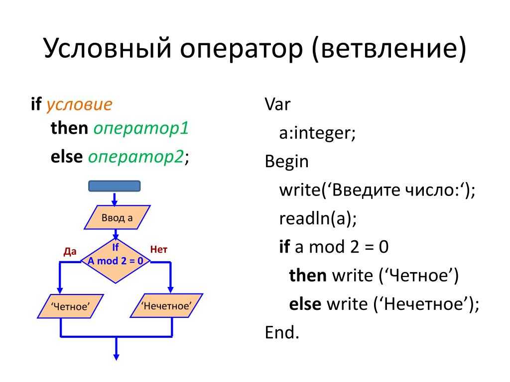Язык pascal цикл. Алгоритм ветвления питон. Условные операторы ветвления питон. Программа if else Паскаль. Паскаль алгоритм с условием.