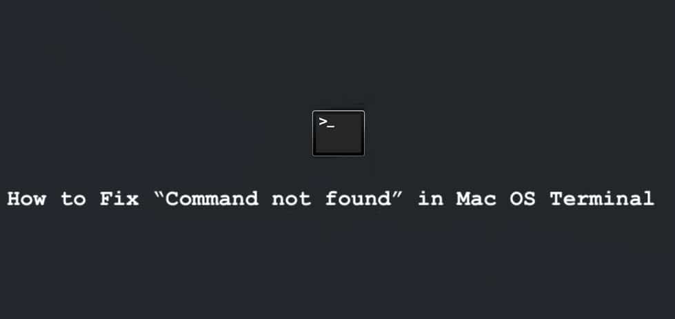 Command not found in bash fixed