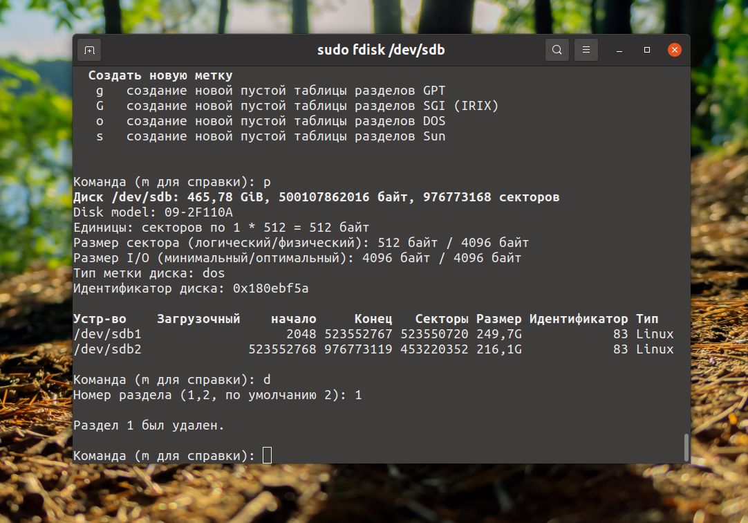 Команда fdisk в linux (создание разделов диска)
