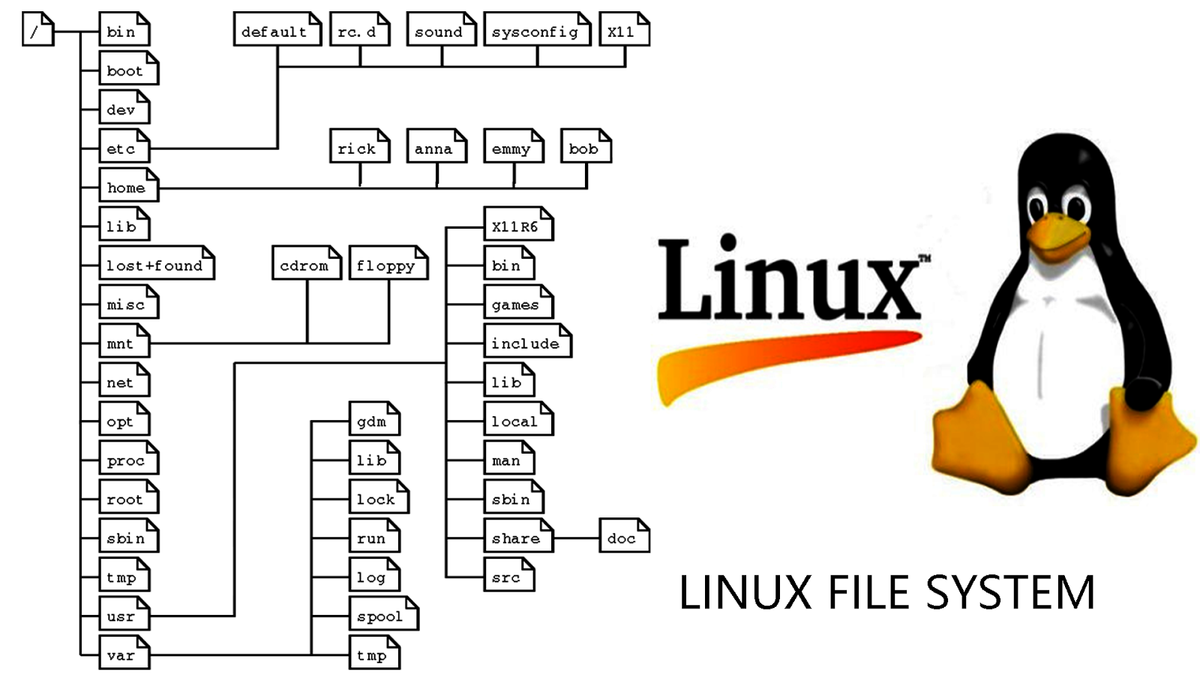 Как выполнить поиск файлов и папок в linux