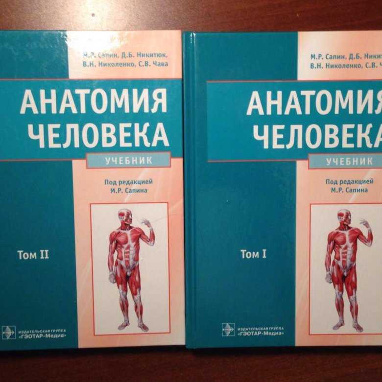 11 приложений по анатомии человека для студентов и школьников