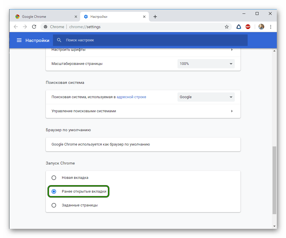 Chrome settings content — настройки браузера